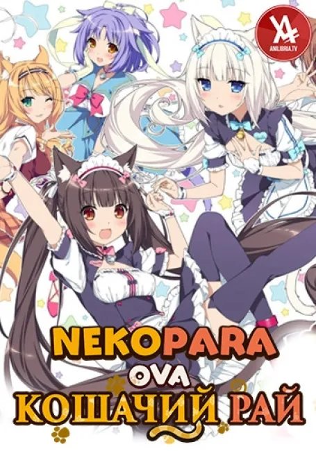 Кошачий рай постер