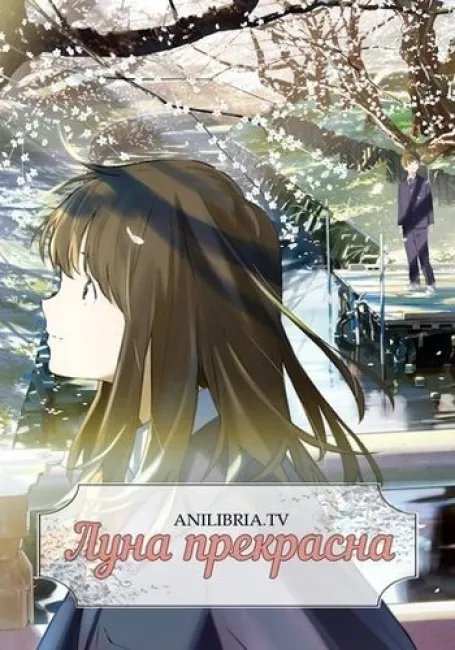 Луна прекрасна постер