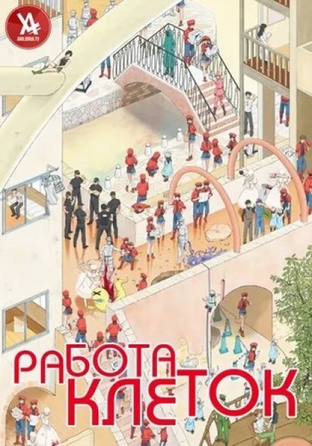 Работа клеток постер