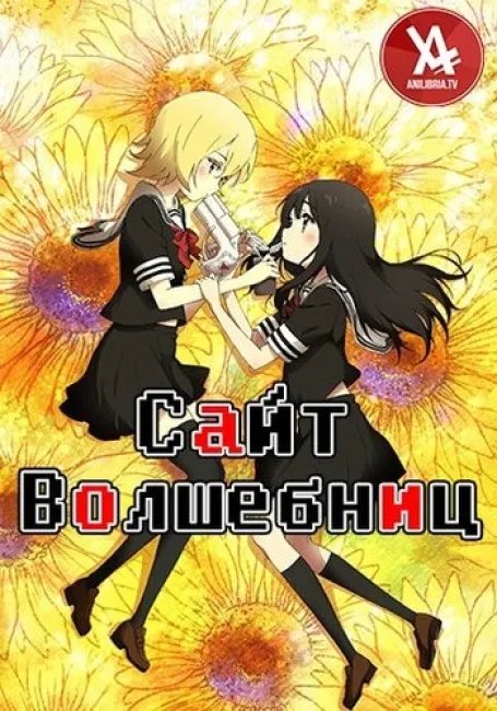 Сайт волшебниц постер